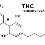 Che cos'è il THC? Proprietà e usi