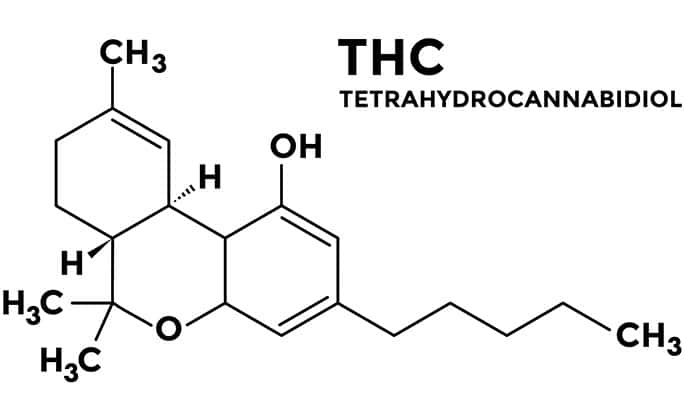 Qué es el THC? Propiedades y usos