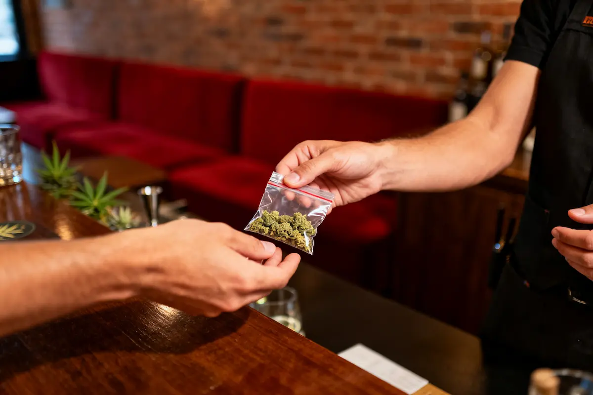 Marijuana dispensary in Barcelona: how to get access to it