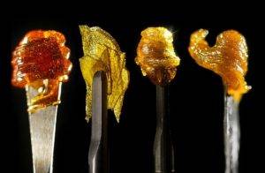 concentrati di cannabis